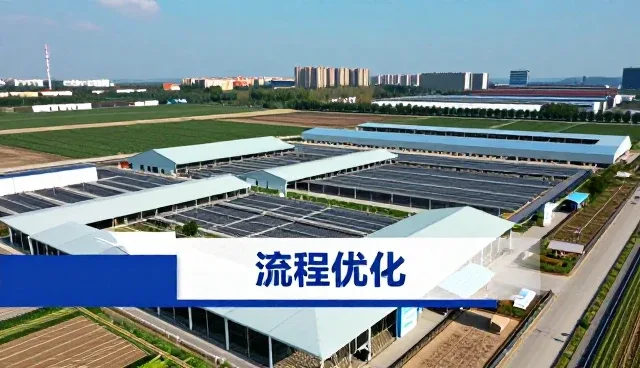 信息咨询服务在品牌建设中的趋势与实践